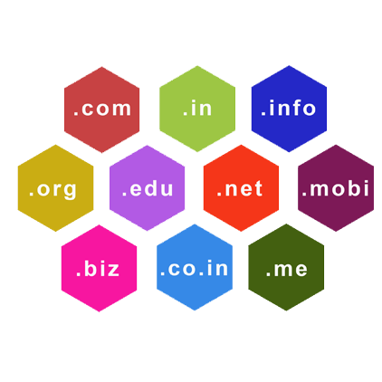 Web designing Company Kannur Kerala