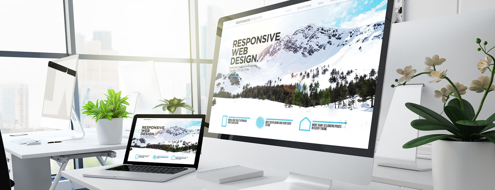 Web designing Company Kannur Kerala